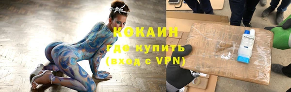 apvp Богородицк