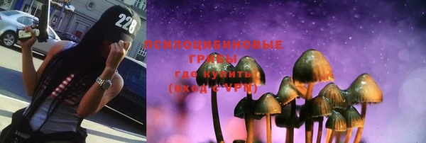 apvp Богородицк