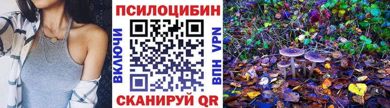 Псилоцибиновые грибы MAGIC MUSHROOMS  цена   Дно 